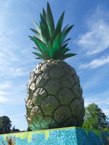 Kew's giant pineapple!